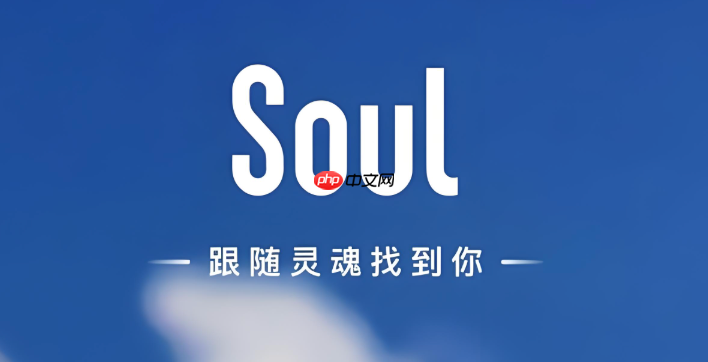 soul到底是不是约会软件_Soul软件性质说明-第1张图片-佛山资讯网