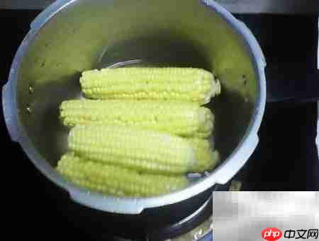 轻松炖玉米，美味又简单-第3张图片-佛山资讯网
