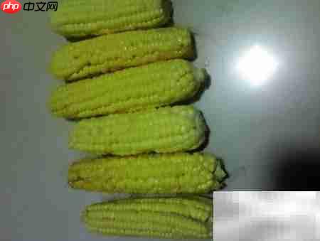 轻松炖玉米，美味又简单-第1张图片-佛山资讯网