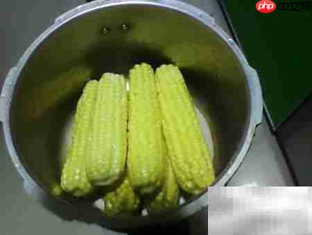 轻松炖玉米，美味又简单-第2张图片-佛山资讯网