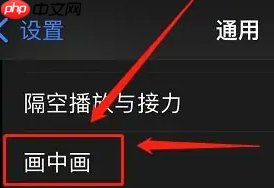 iphone16关闭画中画方法-第2张图片-佛山资讯网