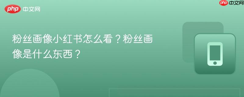 粉丝画像小红书怎么看？粉丝画像是什么东西？-第1张图片-佛山资讯网
