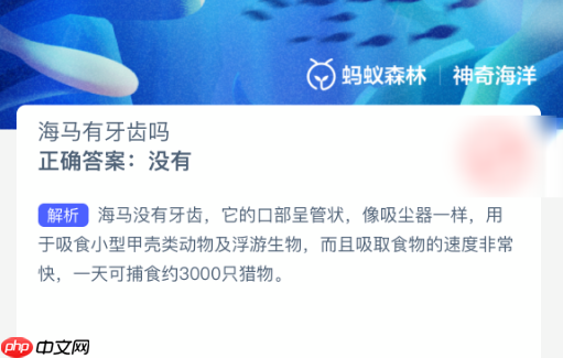 海马有牙齿吗-第1张图片-佛山资讯网