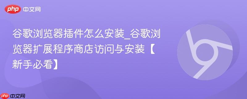 谷歌浏览器插件怎么安装_谷歌浏览器扩展程序商店访问与安装【新手必看】-第1张图片-佛山资讯网