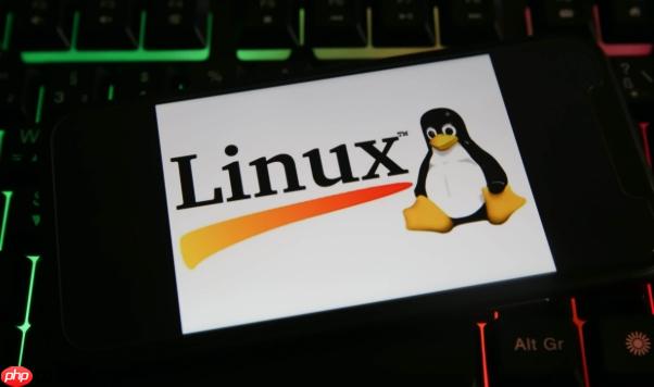 LINUX的lsof命令使用指南_查看LINUX系统中被进程打开的文件列表-第1张图片-佛山资讯网 LINUX的lsof命令使用指南_查看LINUX系统中被进程打开的文件列表-第1张图片-佛山资讯网