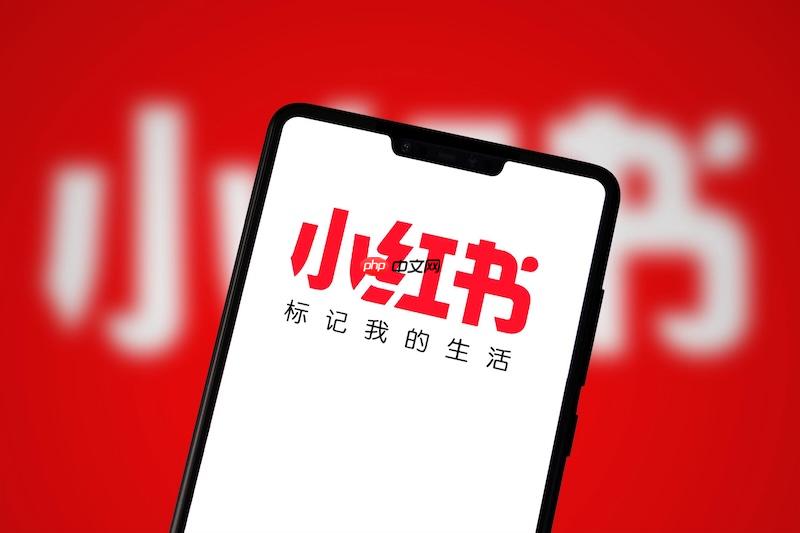 小红书网页版在线平台 小红书网页版官方平台入口-第1张图片-佛山资讯网 小红书网页版在线平台 小红书网页版官方平台入口-第1张图片-佛山资讯网