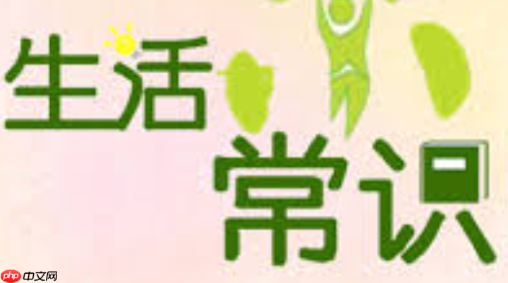 怎么让拖把更干净_生活小妙招分享清洁和保养小技巧-第1张图片-佛山资讯网