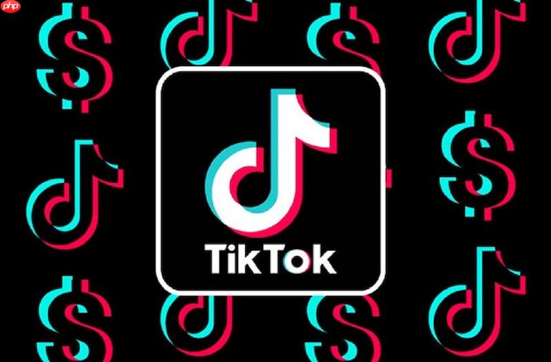 TikTok在线刷视频入口 免费播放入口-第1张图片-佛山资讯网