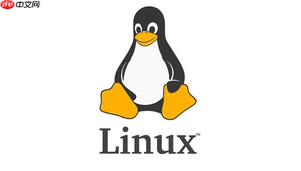 Linux常用命令如何掌握_标准流程剖析适用于全部场景【教程】-第1张图片-佛山资讯网 Linux常用命令如何掌握_标准流程剖析适用于全部场景【教程】-第1张图片-佛山资讯网