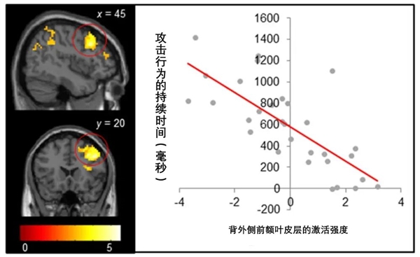 “网络引战”是一门生意 千万别被带节奏-第2张图片-佛山资讯网