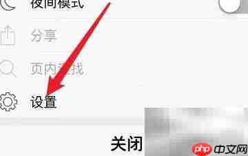 Oupeng Mini UA设置方法-第3张图片-佛山资讯网