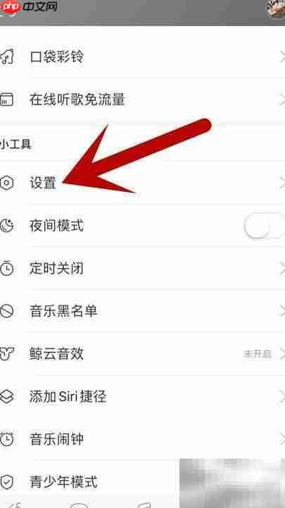 网易音乐开启流量下载设置-第3张图片-佛山资讯网