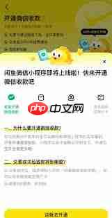 闲鱼微信小程序和闲鱼app的区别是什么-第1张图片-佛山资讯网 闲鱼微信小程序和闲鱼app的区别是什么-第1张图片-佛山资讯网