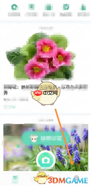 《形色》权限设置方法-第1张图片-佛山资讯网