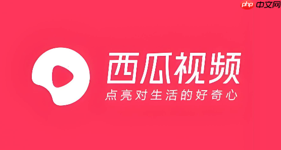西瓜视频怎么退出中视频伙伴计划_西瓜视频中视频伙伴退出方法-第1张图片-佛山资讯网 西瓜视频怎么退出中视频伙伴计划_西瓜视频中视频伙伴退出方法-第1张图片-佛山资讯网