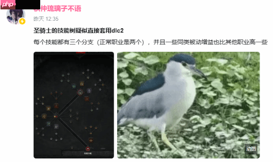 暴雪到底有没有卖数值？《暗黑4》新职业强度逆天-第1张图片-佛山资讯网