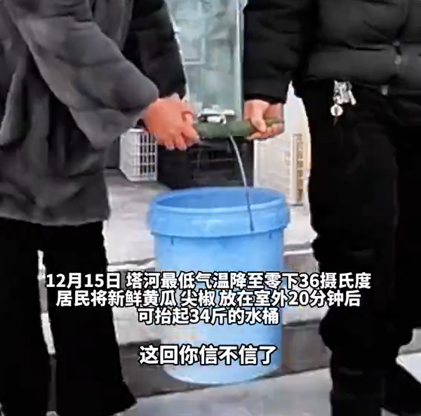 黑龙江冬天万物皆可速冻：黄瓜室外放20分钟能抬34斤水-第1张图片-佛山资讯网