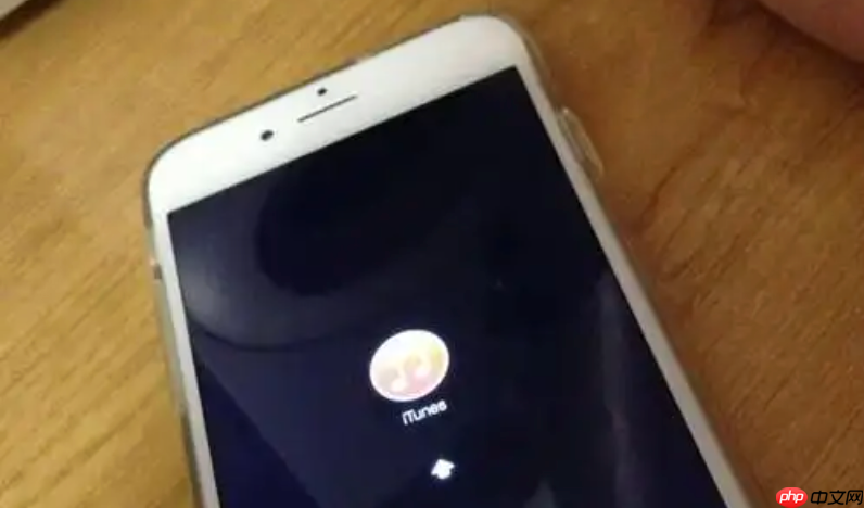 系统更新后手机充不进电了 | 别慌,这通常是软件Bug,降级或修复方法在此-第1张图片-佛山资讯网 系统更新后手机充不进电了 | 别慌,这通常是软件Bug,降级或修复方法在此-第1张图片-佛山资讯网