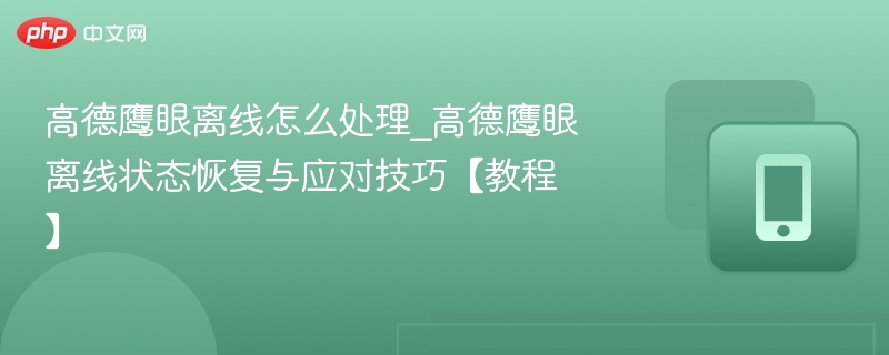 高德鹰眼离线怎么处理_高德鹰眼离线状态恢复与应对技巧【教程】-第1张图片-佛山资讯网