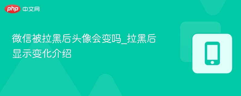 微信被拉黑后头像会变吗_拉黑后显示变化介绍-第1张图片-佛山资讯网