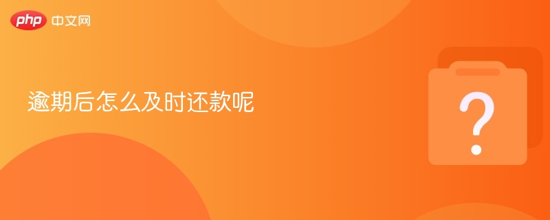 逾期后怎么及时还款呢-第1张图片-佛山资讯网 逾期后怎么及时还款呢-第1张图片-佛山资讯网