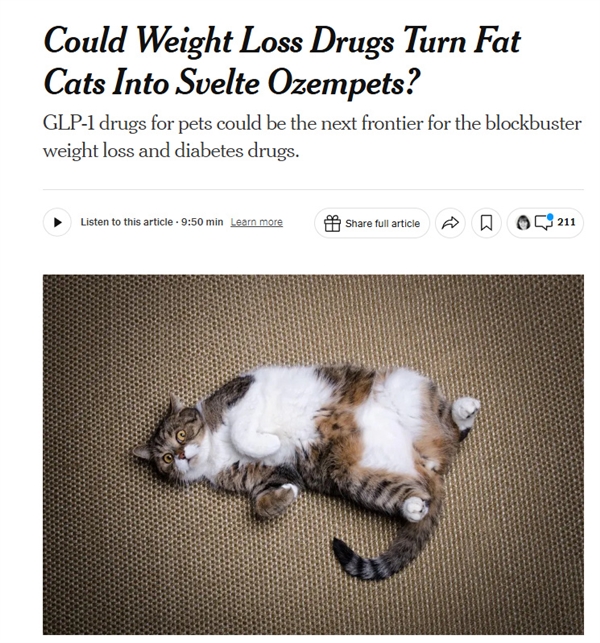 全球首款猫用减肥药进入临床试验：声称能“延年益寿”-第1张图片-佛山资讯网