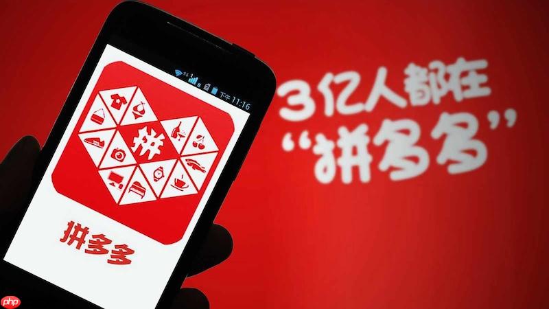 拼多多百亿补贴卖家怎么参加?拼多多百亿补贴报名方法-第1张图片-佛山资讯网 拼多多百亿补贴卖家怎么参加?拼多多百亿补贴报名方法-第1张图片-佛山资讯网