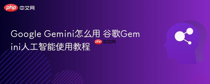 Google Gemini怎么用 谷歌Gemini人工智能使用教程-第1张图片-佛山资讯网