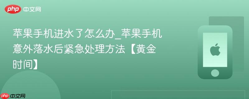 苹果手机进水了怎么办_苹果手机意外落水后紧急处理方法【黄金时间】-第1张图片-佛山资讯网