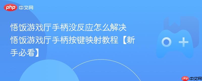 悟饭游戏厅手柄没反应怎么解决 悟饭游戏厅手柄按键映射教程【新手必看】-第1张图片-佛山资讯网
