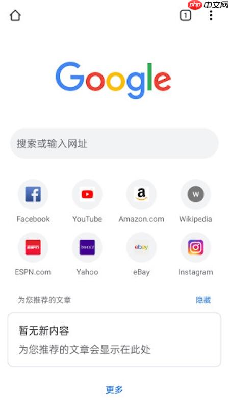 谷歌浏览器搜索引擎名称 谷歌浏览器官方网站访问方法-第1张图片-佛山资讯网 谷歌浏览器搜索引擎名称 谷歌浏览器官方网站访问方法-第1张图片-佛山资讯网