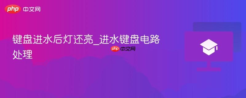 键盘进水后灯还亮_进水键盘电路处理-第1张图片-佛山资讯网 键盘进水后灯还亮_进水键盘电路处理-第1张图片-佛山资讯网