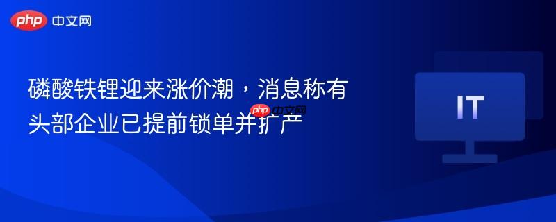 磷酸铁锂迎来涨价潮，消息称有头部企业已提前锁单并扩产-第1张图片-佛山资讯网