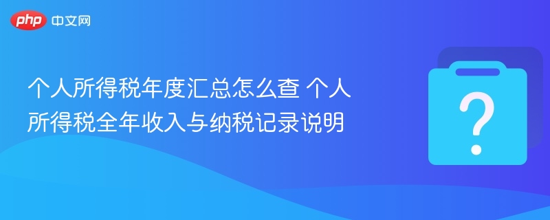 个人所得税年度汇总怎么查 个人所得税全年收入与纳税记录说明-第1张图片-佛山资讯网