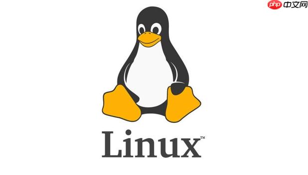 Linux性能如何优化_操作步骤详解提升实战能力【技巧】-第1张图片-佛山资讯网