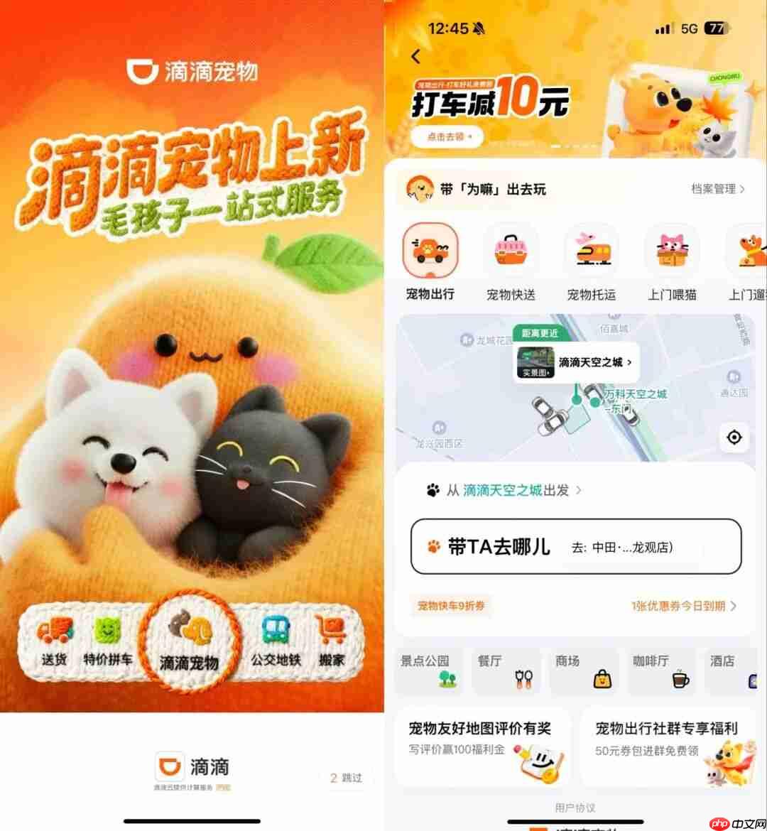 滴滴上线“宠物服务”，涵盖出行、上门喂遛和洗护等-第1张图片-佛山资讯网