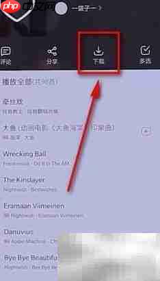 网易云音乐批量下载教程-第2张图片-佛山资讯网 网易云音乐批量下载教程-第2张图片-佛山资讯网