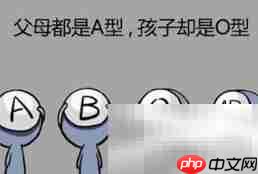父母血型决定孩子血型?-第3张图片-佛山资讯网 父母血型决定孩子血型?-第3张图片-佛山资讯网