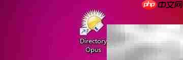 Directory Opus工具栏边框设置-第1张图片-佛山资讯网