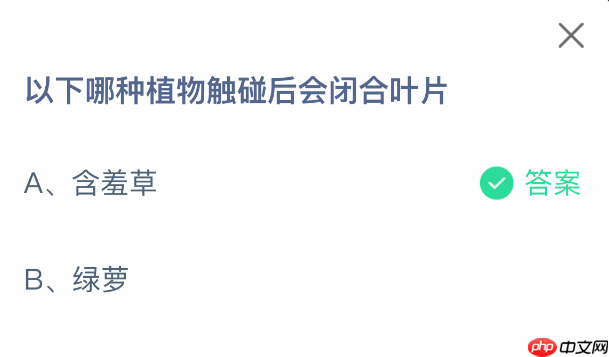 以下哪种植物触碰后会闭合叶片-第2张图片-佛山资讯网 以下哪种植物触碰后会闭合叶片-第2张图片-佛山资讯网