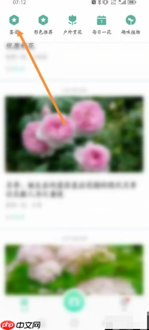 《形色》鉴定植物方法-第1张图片-佛山资讯网