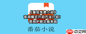 番茄免费小说如何开启夜间模式-第3张图片-佛山资讯网
