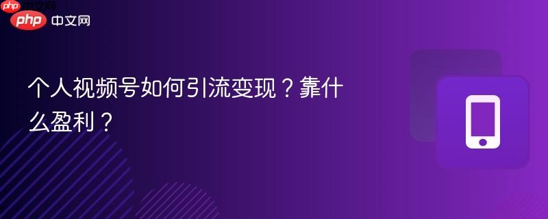 个人视频号如何引流变现？靠什么盈利？-第1张图片-佛山资讯网