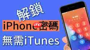 iPhone夜间自动关机被迫输入密码解锁怎么办-第1张图片-佛山资讯网 iPhone夜间自动关机被迫输入密码解锁怎么办-第1张图片-佛山资讯网
