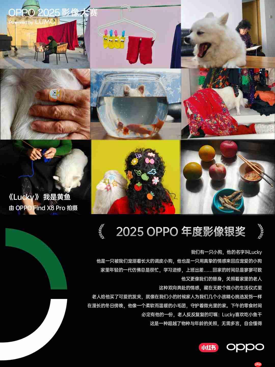 点亮感动时刻!OPPO 2025影像大赛获奖作品重磅揭晓-第4张图片-佛山资讯网 点亮感动时刻!OPPO 2025影像大赛获奖作品重磅揭晓-第4张图片-佛山资讯网
