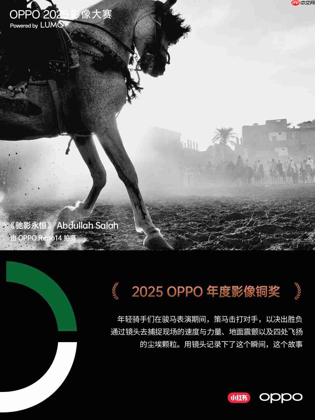 点亮感动时刻!OPPO 2025影像大赛获奖作品重磅揭晓-第7张图片-佛山资讯网 点亮感动时刻!OPPO 2025影像大赛获奖作品重磅揭晓-第7张图片-佛山资讯网