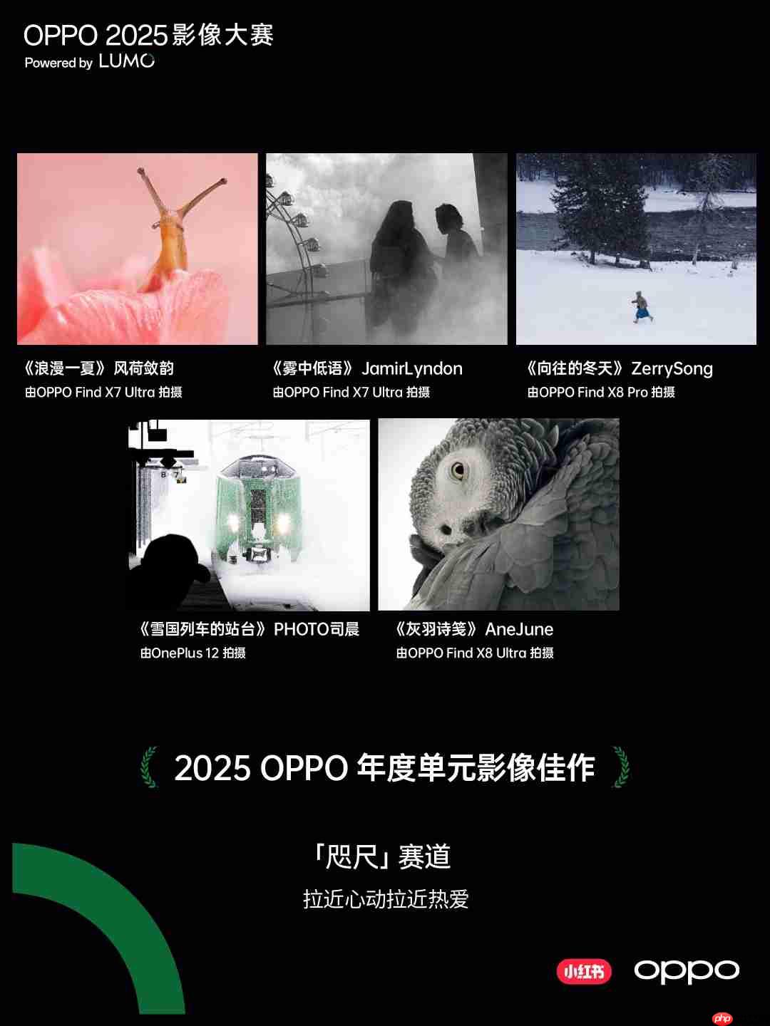 点亮感动时刻!OPPO 2025影像大赛获奖作品重磅揭晓-第13张图片-佛山资讯网 点亮感动时刻!OPPO 2025影像大赛获奖作品重磅揭晓-第13张图片-佛山资讯网