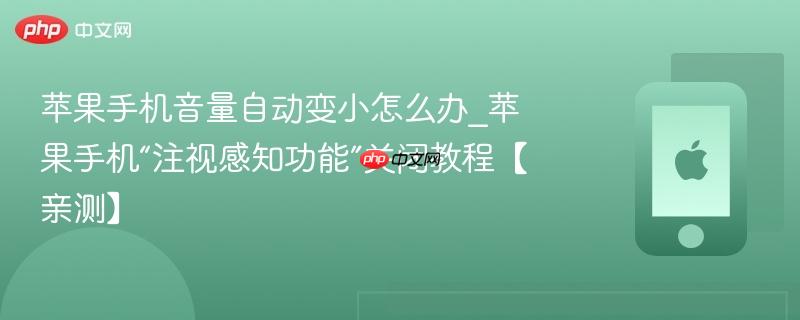 苹果手机音量自动变小怎么办_苹果手机“注视感知功能”关闭教程【亲测】-第1张图片-佛山资讯网