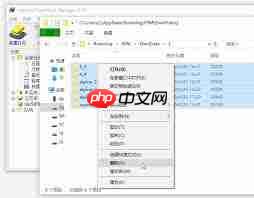 IDM下载器临时文件夹位置在哪-第2张图片-佛山资讯网 IDM下载器临时文件夹位置在哪-第2张图片-佛山资讯网