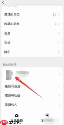 《微信》视频号开店卖东西方法教程2025-第3张图片-佛山资讯网 《微信》视频号开店卖东西方法教程2025-第3张图片-佛山资讯网